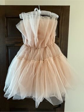 UNTAMED PETALS BY AMANDA JUDGE Blush Pink Strapless Tulle Mini Dress